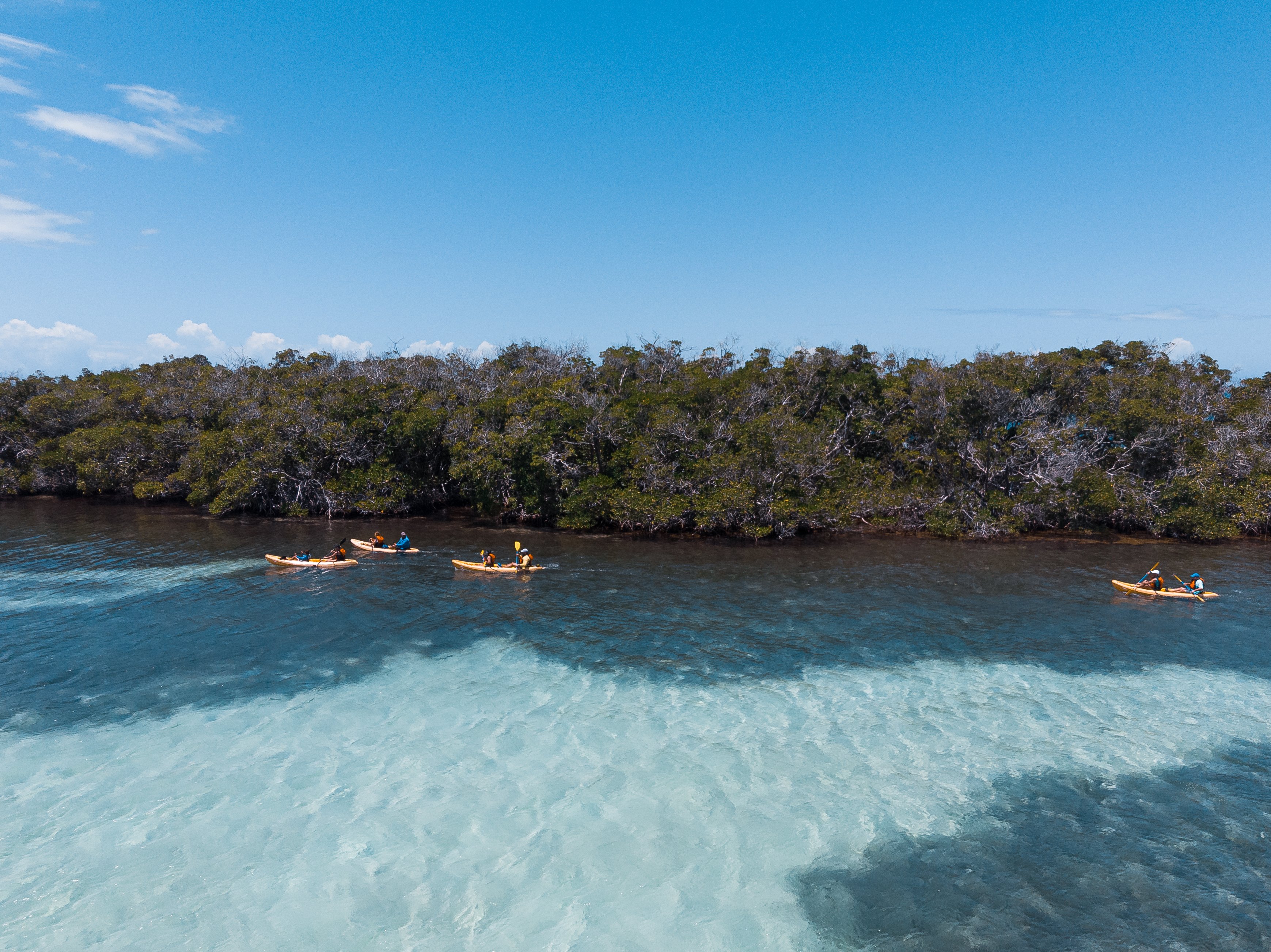 Six Days Of Underwater Adventures In La Parguera Discover Puerto Rico