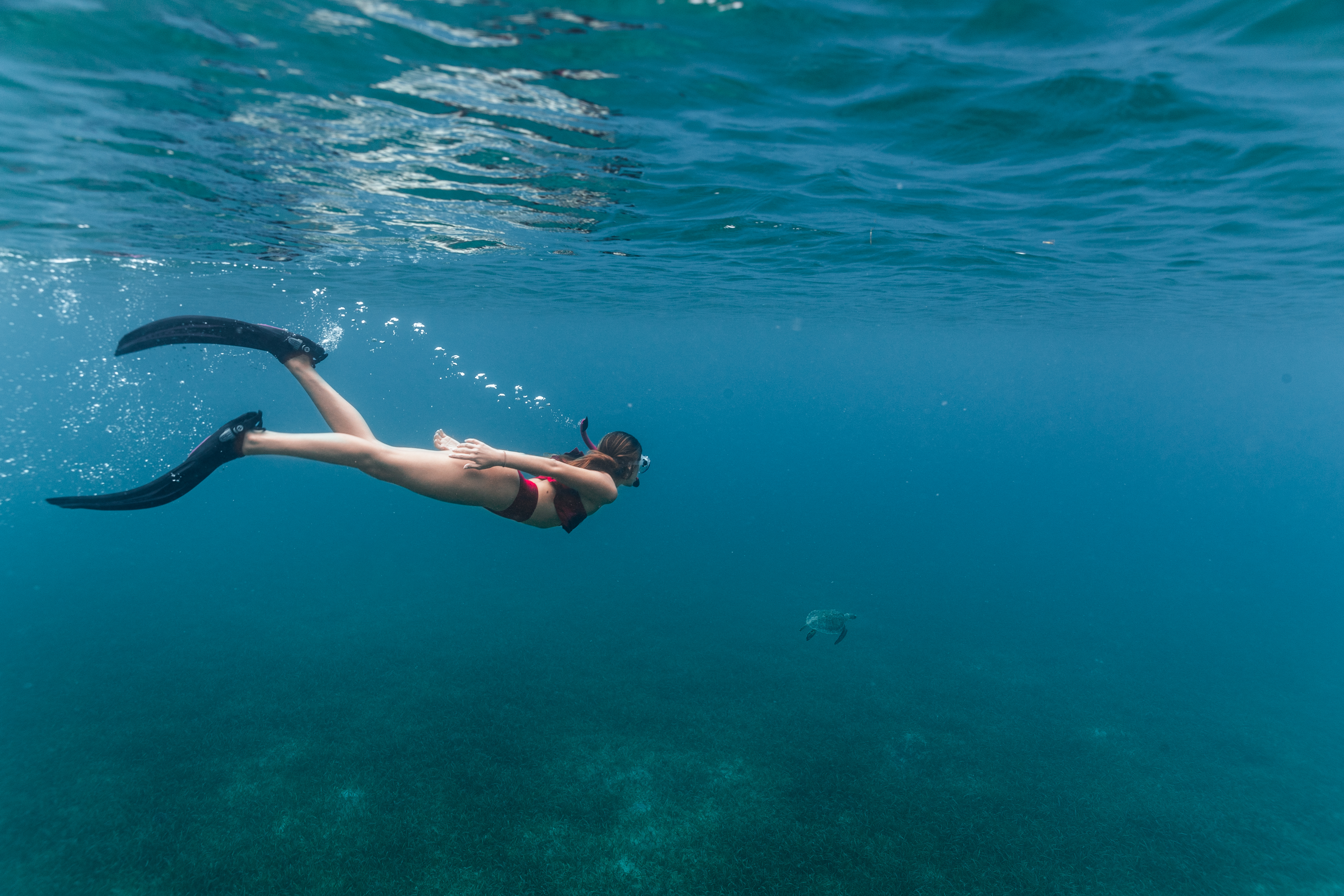 Snorkeling in Culebra