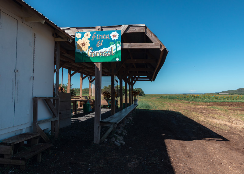 Finca El Girasol | Discover Puerto Rico