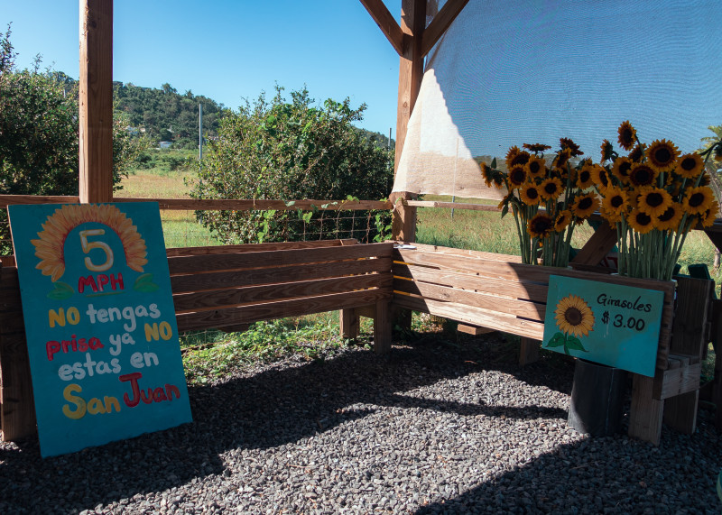 Finca El Girasol | Discover Puerto Rico