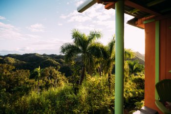 A panoramic view of lush foliage in Utuado.