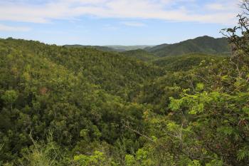 Vista aérea del Bosque Estatal de Susúa