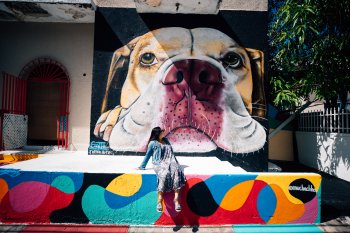 Santurce es Ley mural