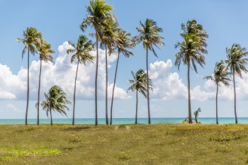 View of Humacao beach.