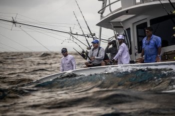 The International Billfish Tournament is one of the most popular fishing competitions not only in the Caribbean but in the world.