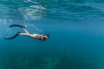 Snorkel en Culebra