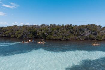 Kayaking at La Parguera 