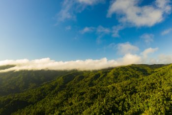 Aerial shot of El Yunque National Forest.