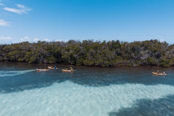 Kayaking in La Parguera, Lajas.