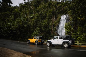 Alquila un coche y explore la isla a su propio ritmo.