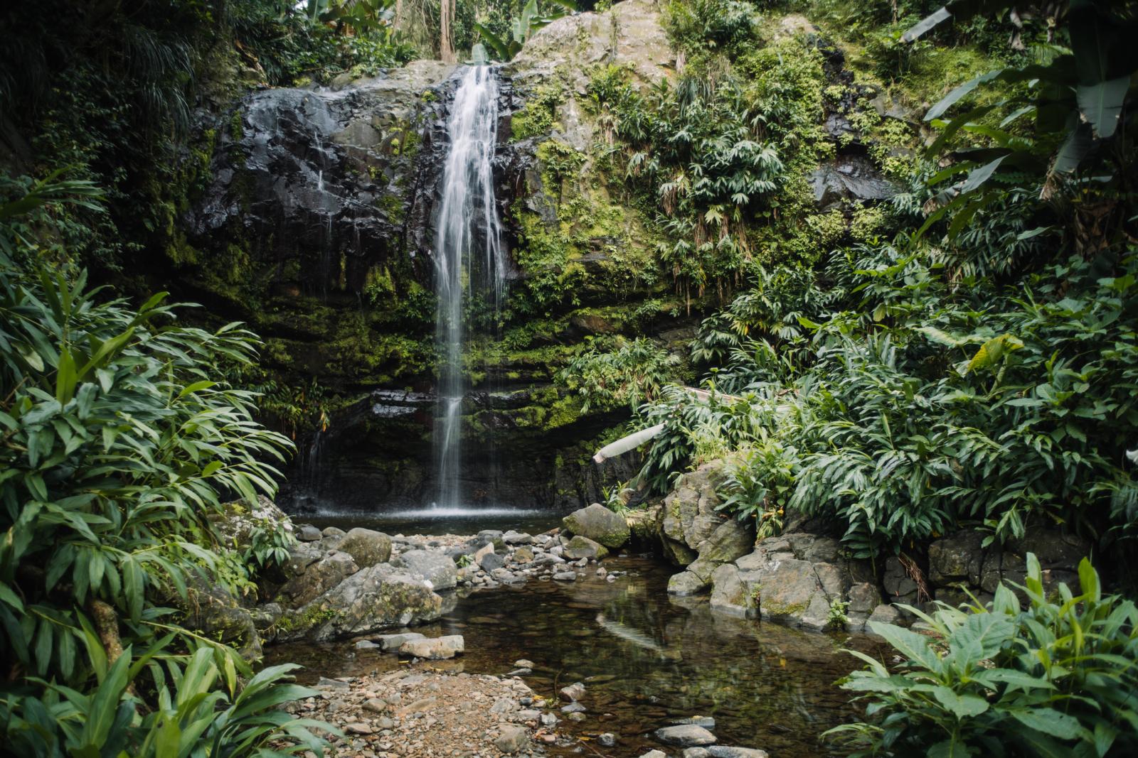 Things to Do in Ciales | Discover Puerto Rico