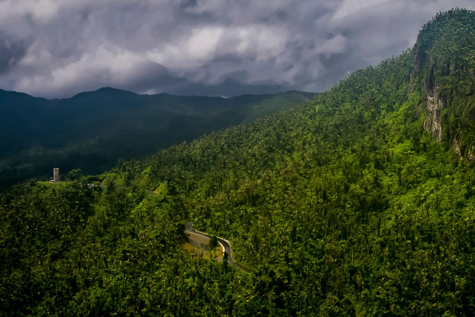 Slikke sagsøger Efterår Visit El Yunque National Forest | Discover Puerto Rico