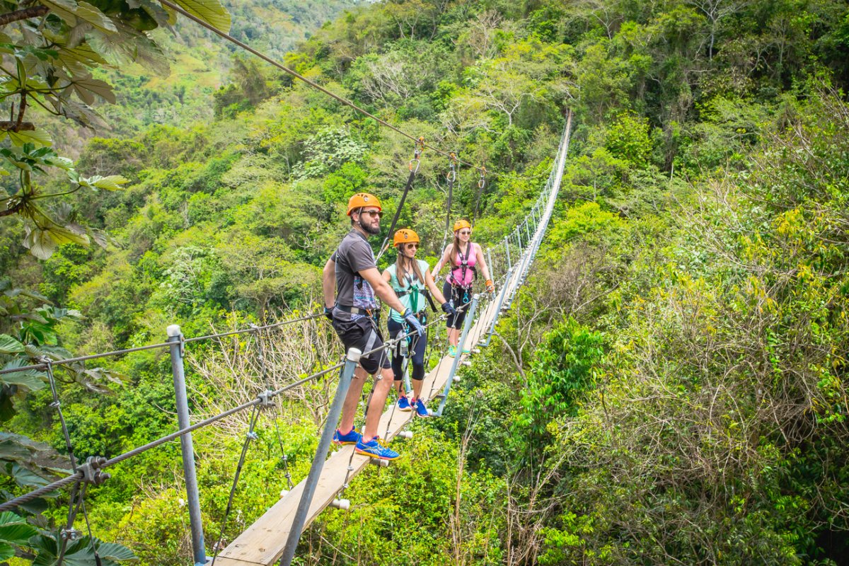 Tres personas cruzan un puente suspendido en Toro Verde Adventure Park. 