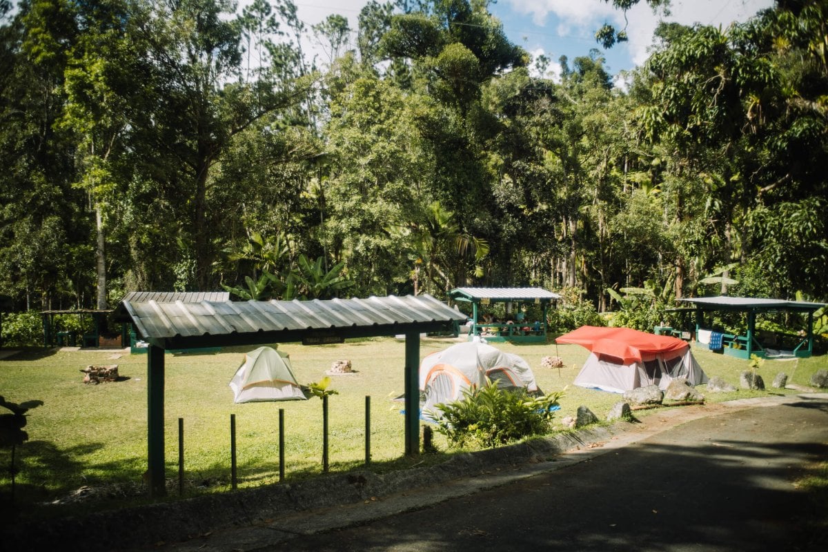 Camping at Toro Negro State Forest. 