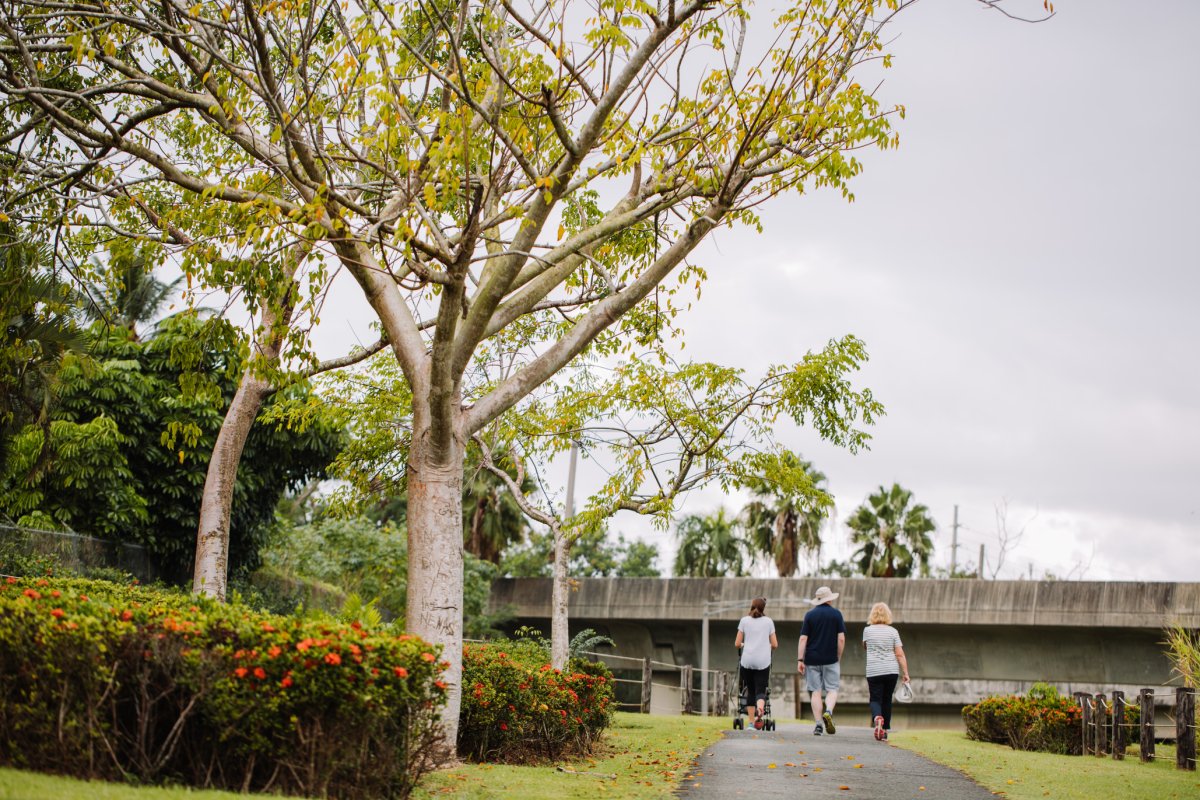 Walkers on a path at Paseo Lineal Bayamon.