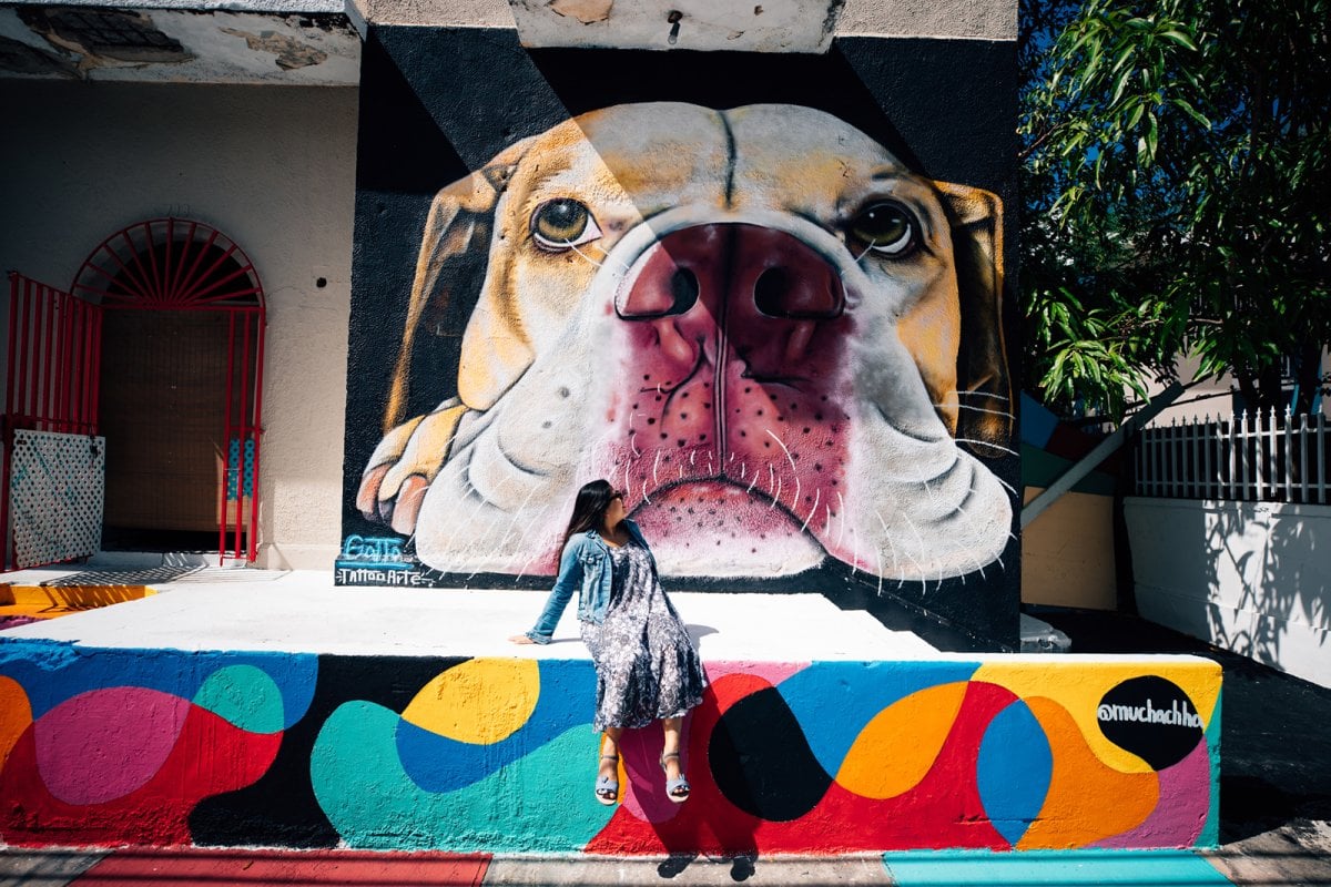 View of a colorful mural in Santurce es Ley art project.