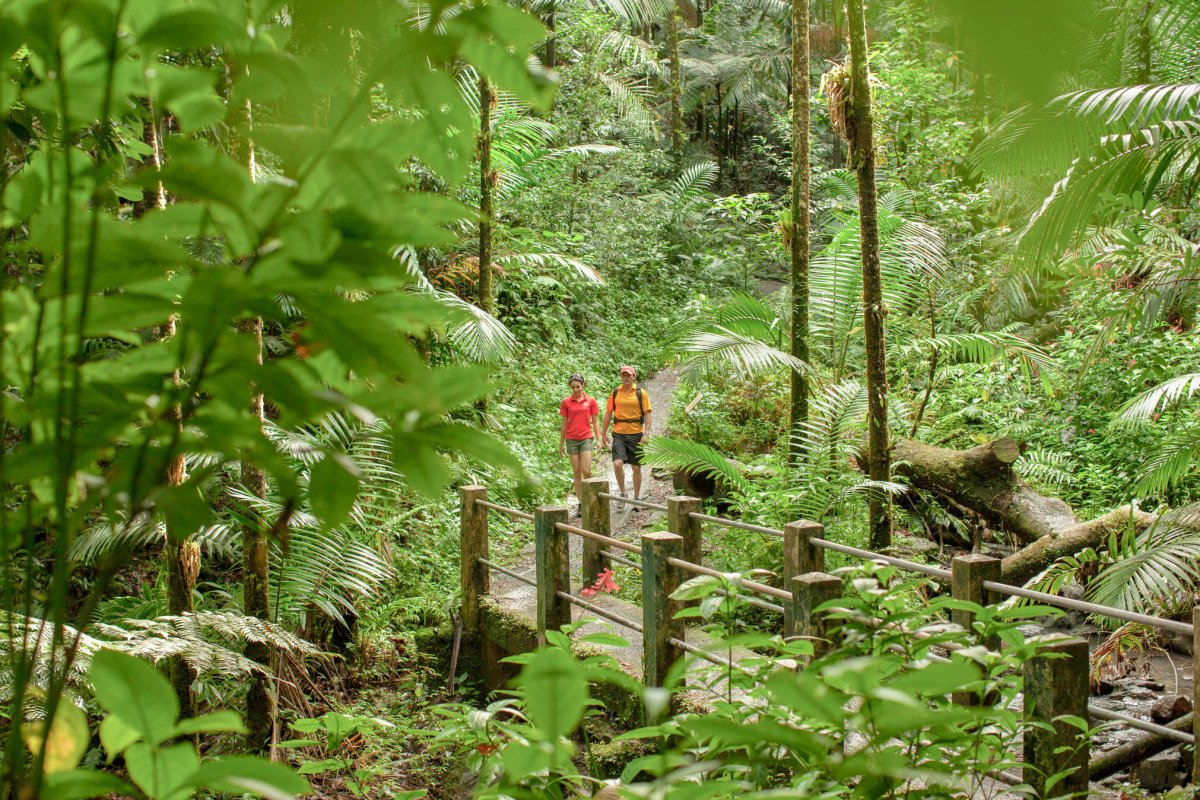 The Most Challenging Hikes In Puerto Rico Discover Puerto Rico