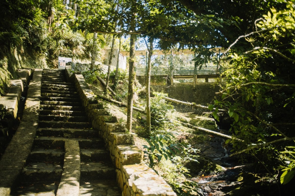 Hiking trail at Toro Negro State Forest.