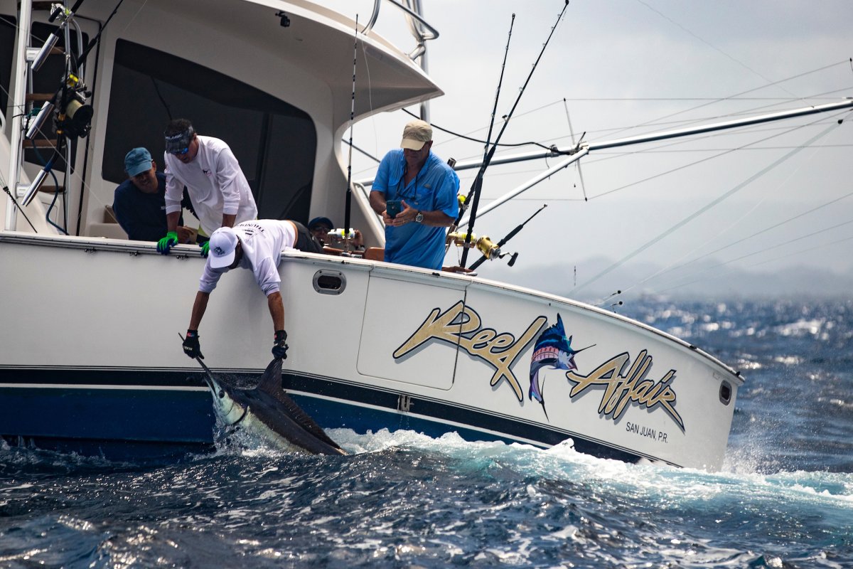 Puerto Rico hosts the International Billfish Tournament.