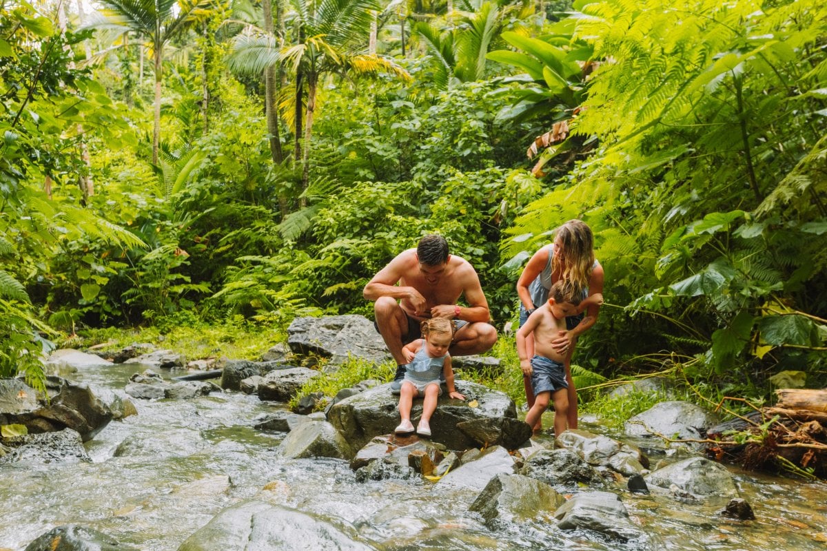 Hiking trail at El Yunque