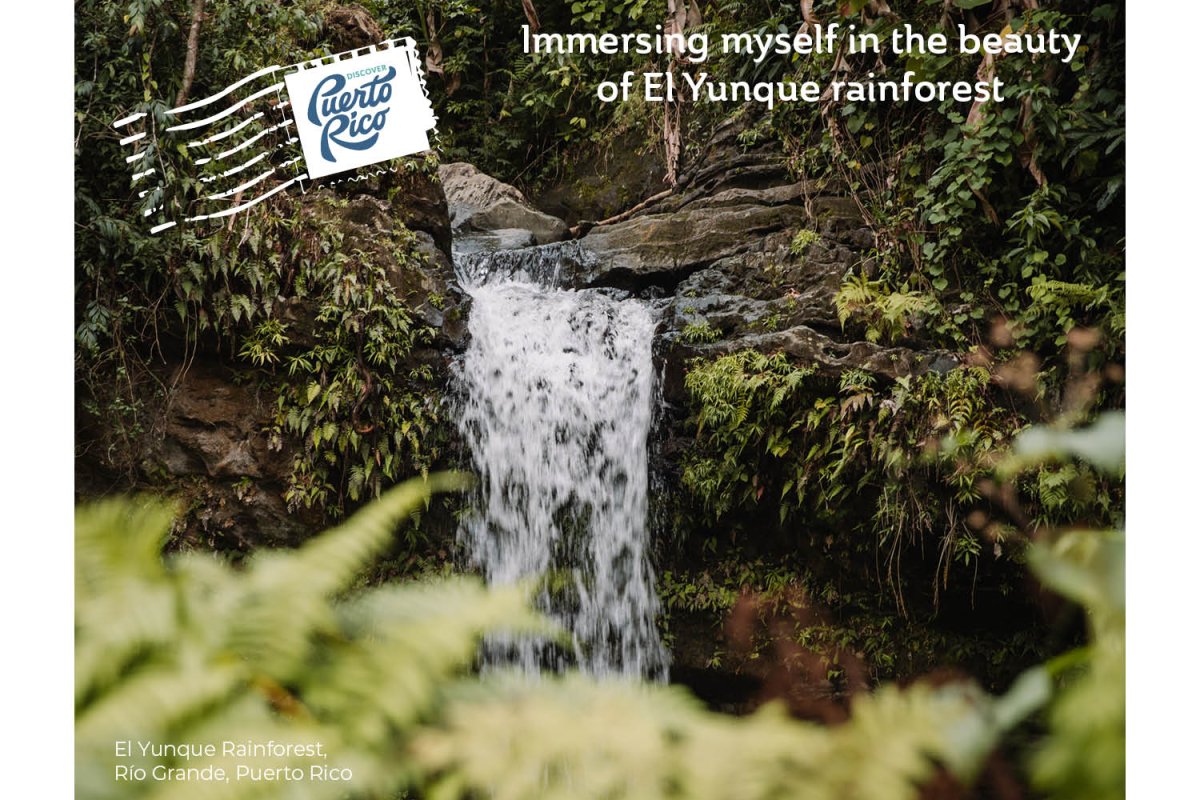 Postcard from El Yunque, Río Grande.