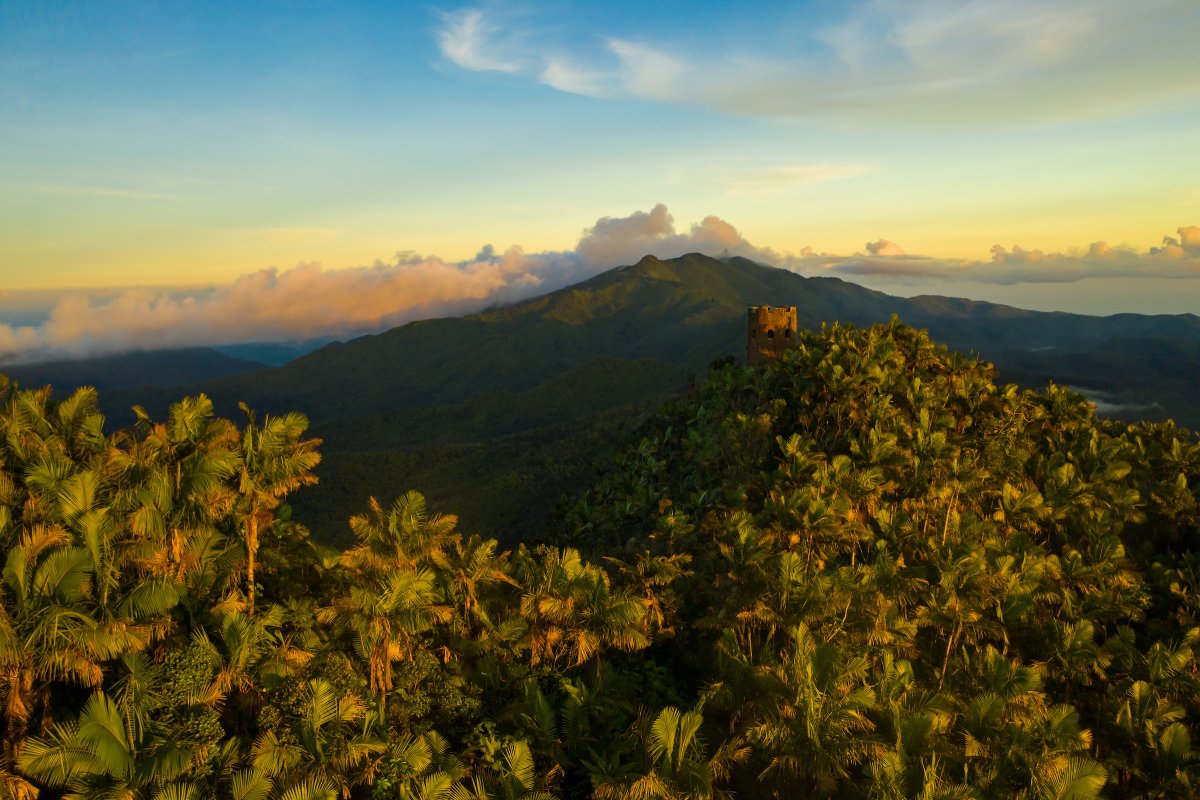 Aerial shot of El Yunque National Forest.