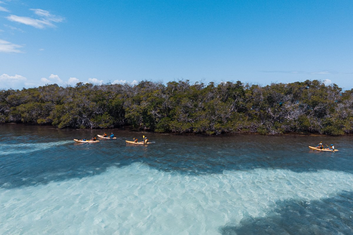 Kayaking en La Parguera, Lajas.