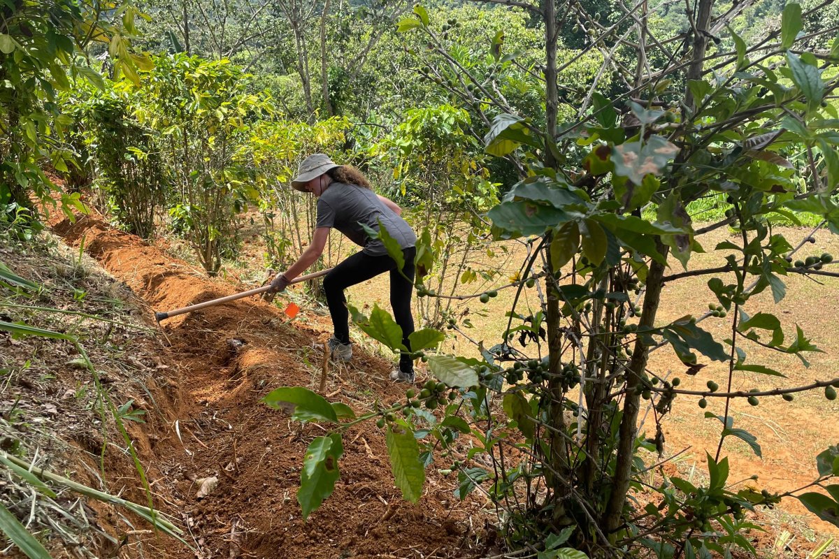 A woman works the land for resources for World Central Kitchen. 