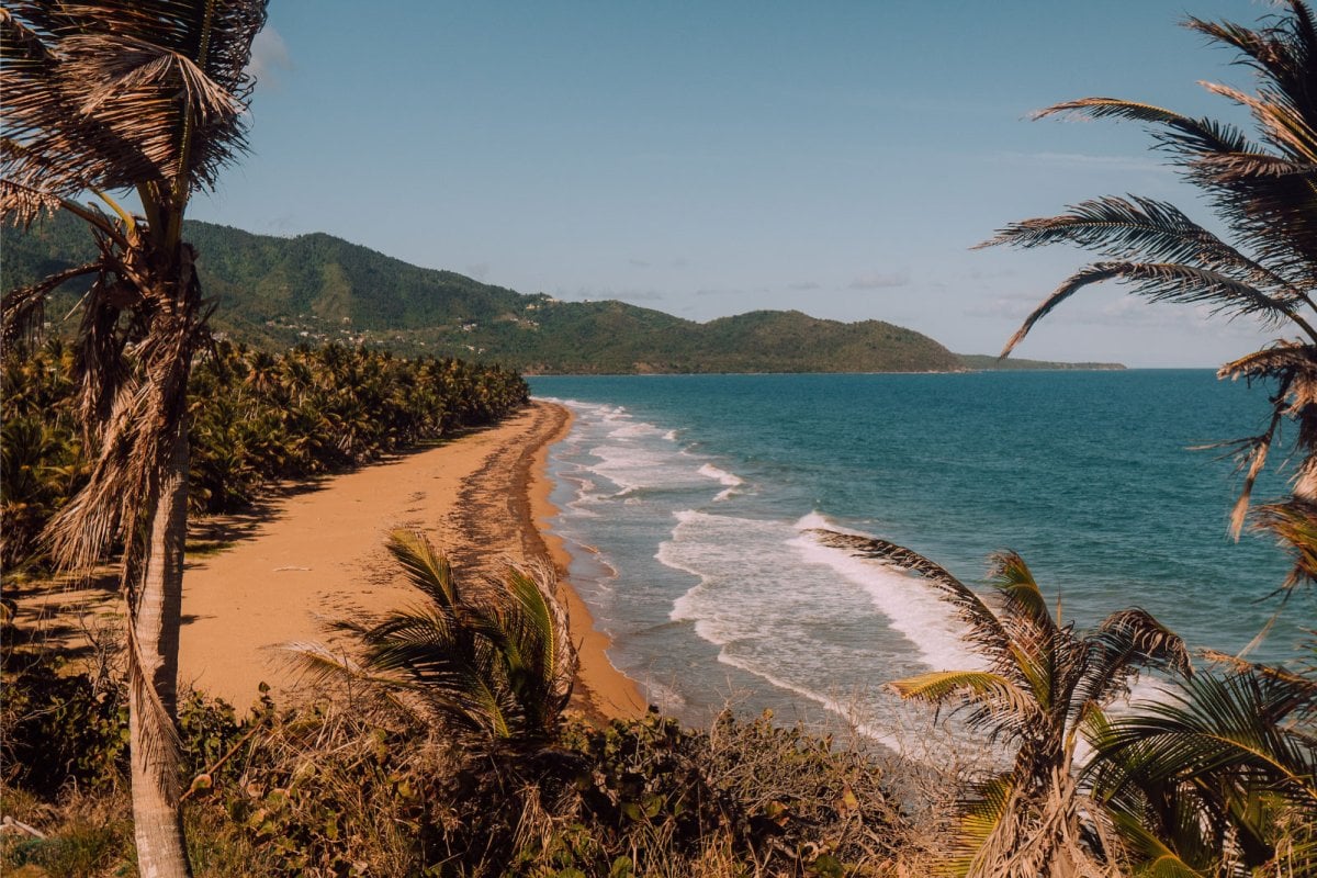 A wide view of a beach in Puerto Rico framed by palm trees and with mountains in the background