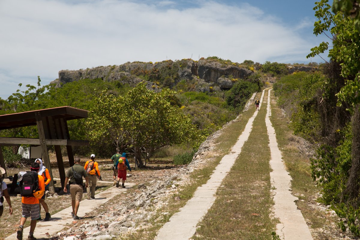 Grupo de personas caminando cuesta arriba.