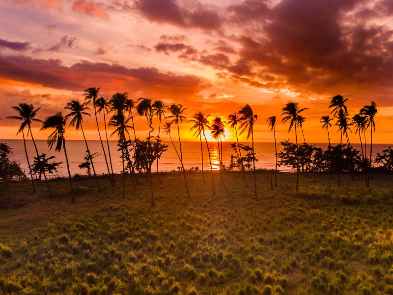 A colorful sunset on the west coast of puerto rico with palm trees in middle distance