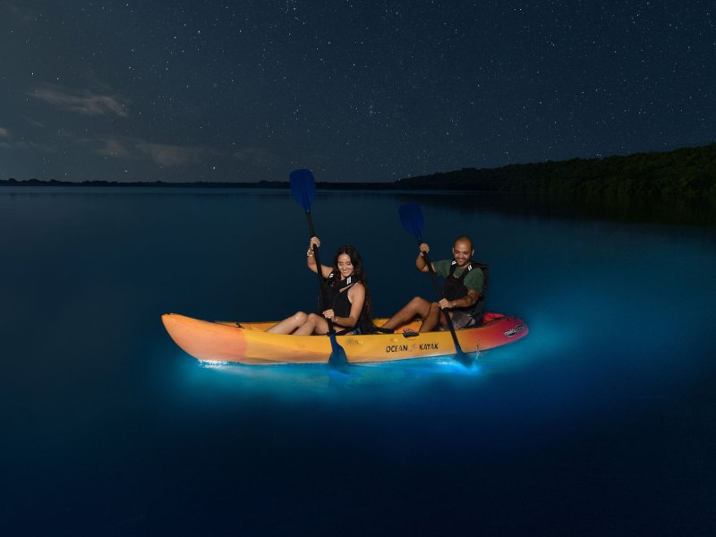 35 Bioluminescent Bays + World Map - Eco Lodges Anywhere
