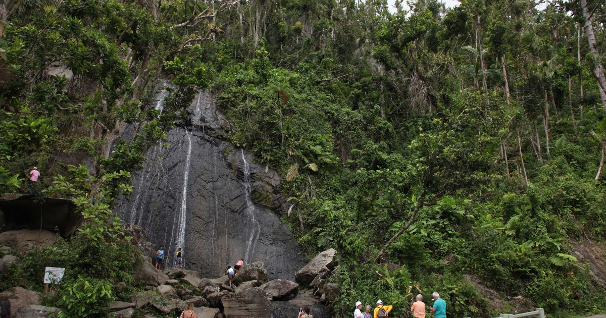 El yunque rainforest guided outlet hiking with waterfall tour