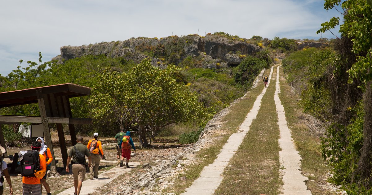 Playeros trail new arrivals