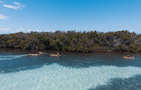 Kayaking in La Parguera, Lajas.