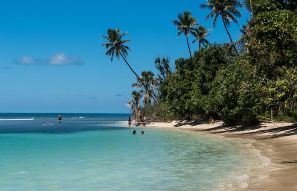 A tropical beach is framed by palm trees in Buye, Puerto Rico.