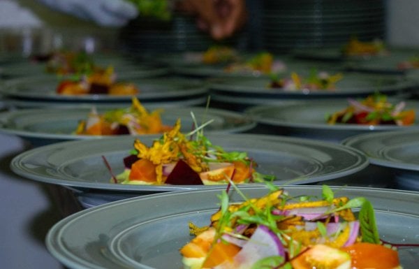 Close up of several plates of salad, with a person's hand applying seasoning