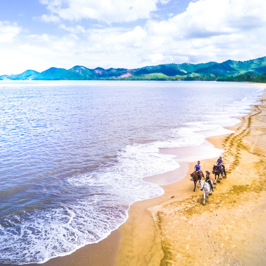 A group enjoys a peaceful horseback ride on the beach.