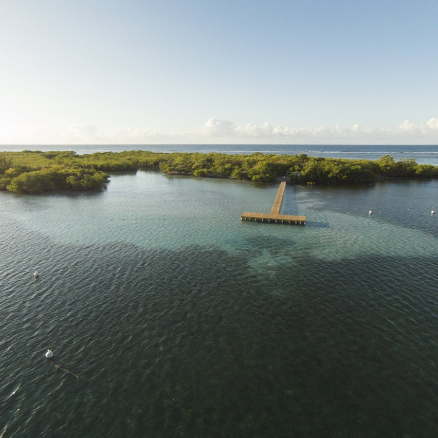 Aerial view of the mangrove island Cayo Aurora, also known as Gilligan's Island.