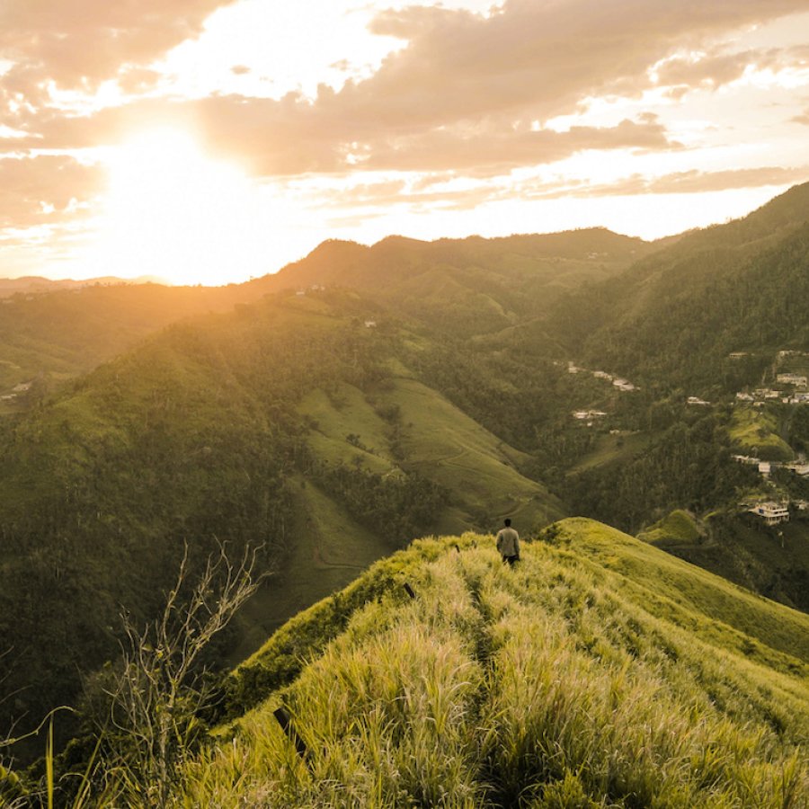 A man overlooks a lush valley.