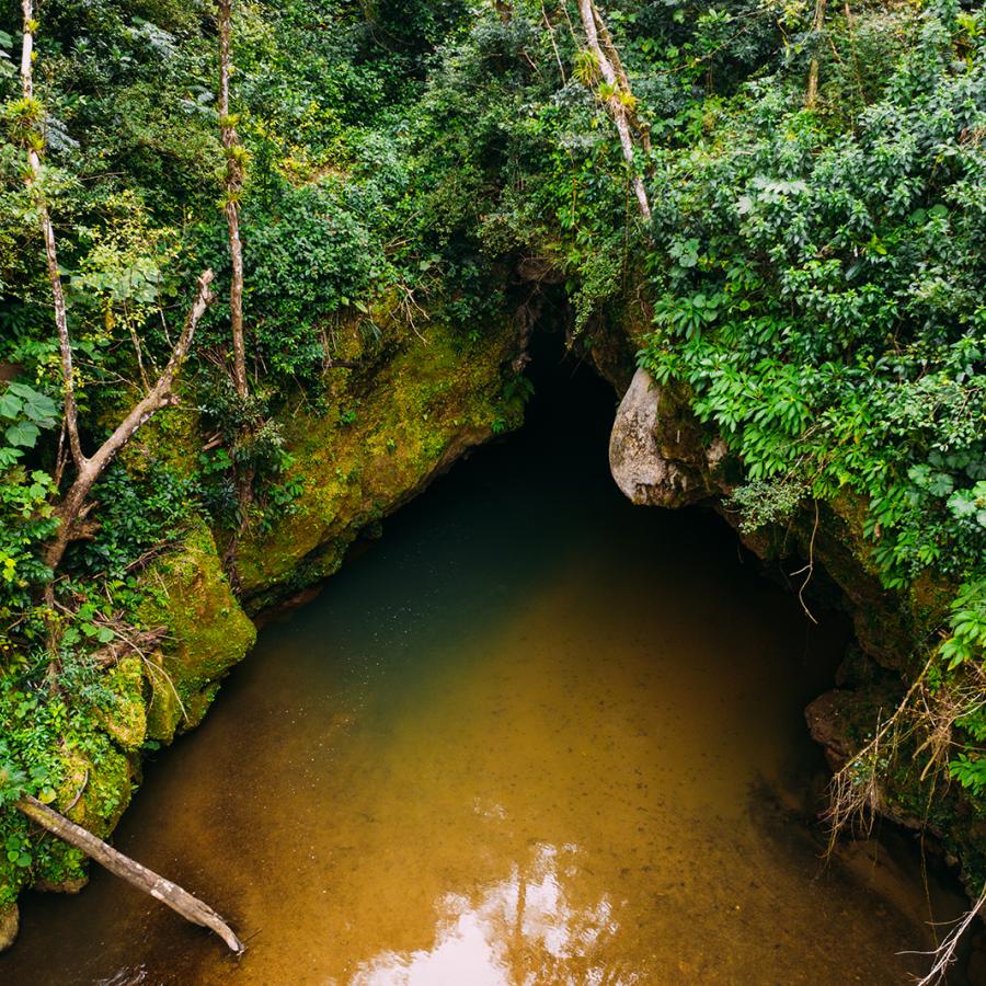 Embárcate en la aventura y explora las cuevas de la isla.