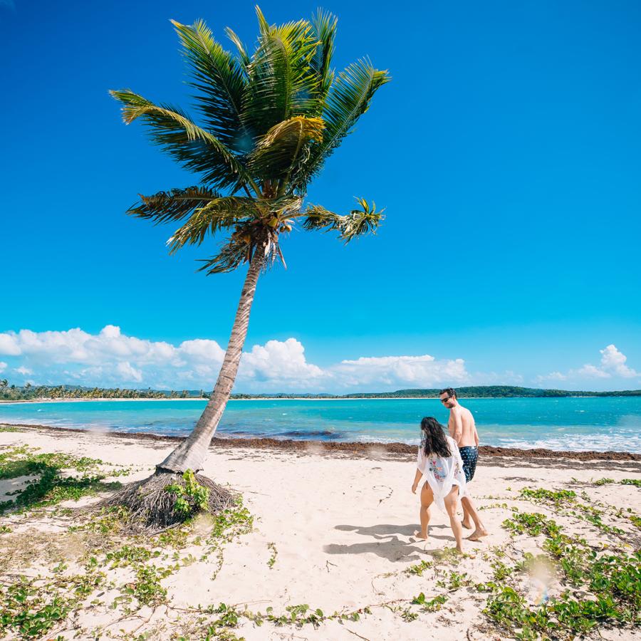 A couple strolling through the stunning Esperanza beach in Vieques.