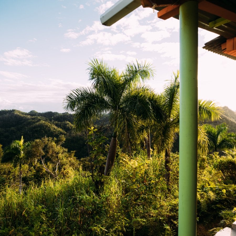 A panoramic view of lush foliage in Utuado.