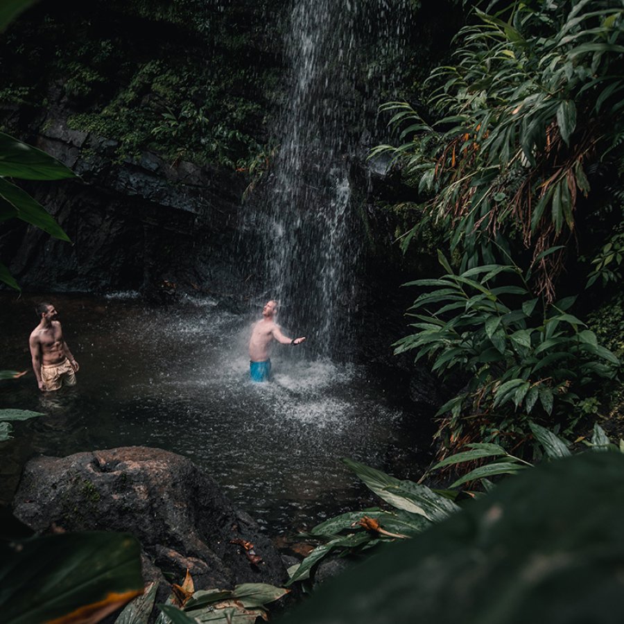 Disfruta de las muchas vistas panorámicas y aventuras naturales que El Yunque tiene para ofrecer.