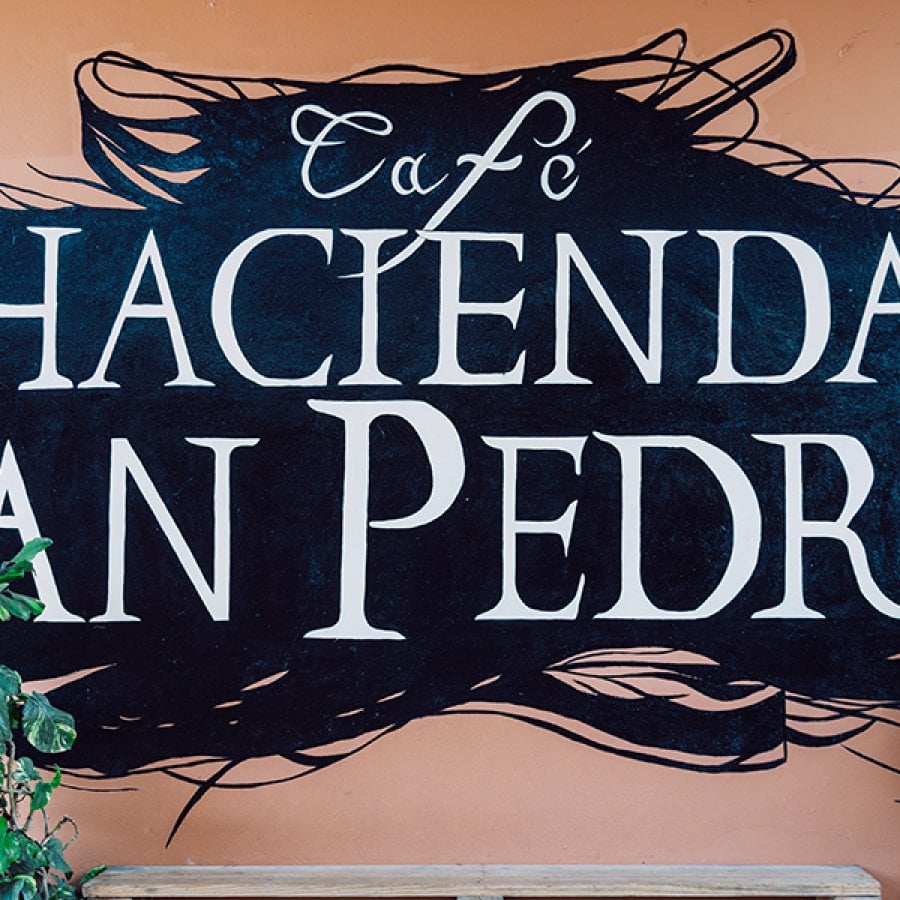 Hacienda San Pedro 