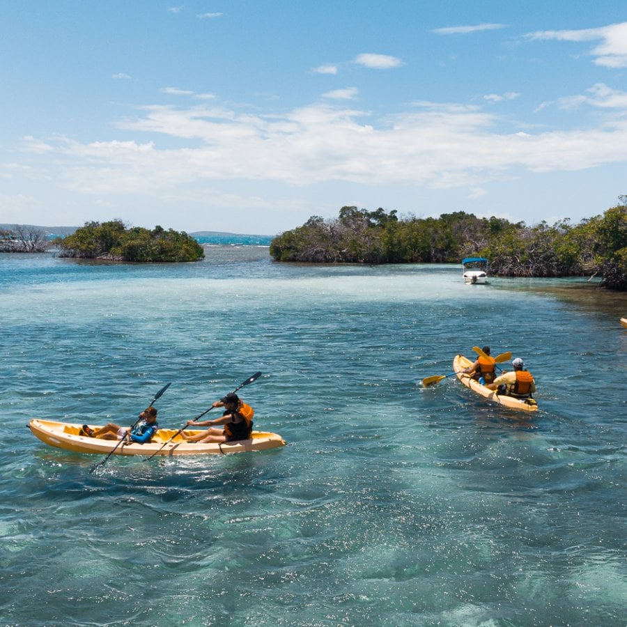 Kayaking at La Parguera in Lajas.