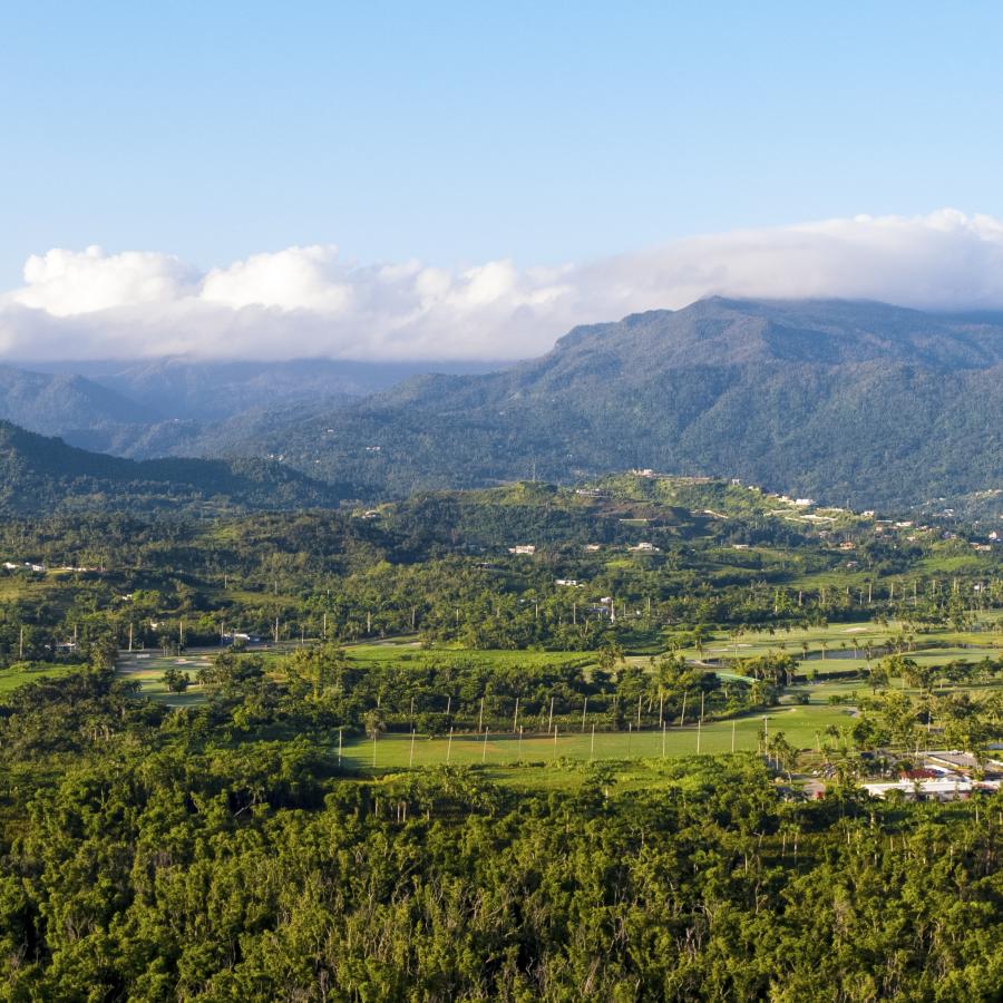 Areal view of El Yunque