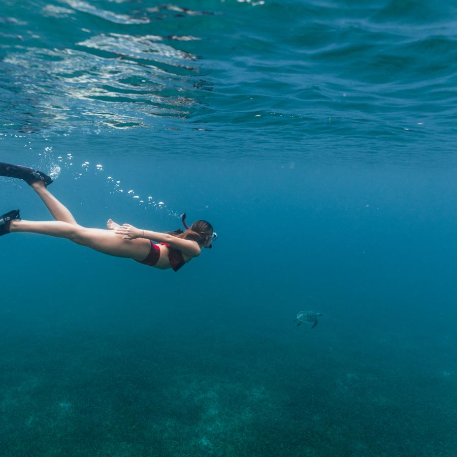 Snorkeling in Culebra