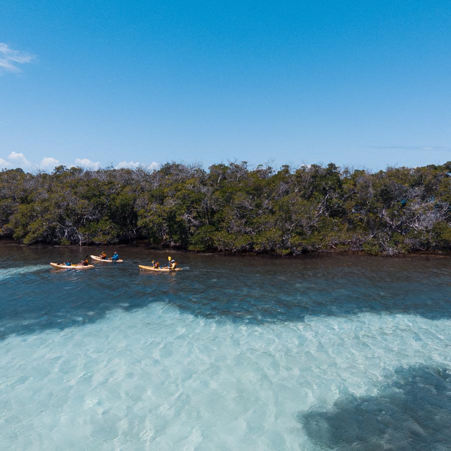 Kayak en La Parguera. 