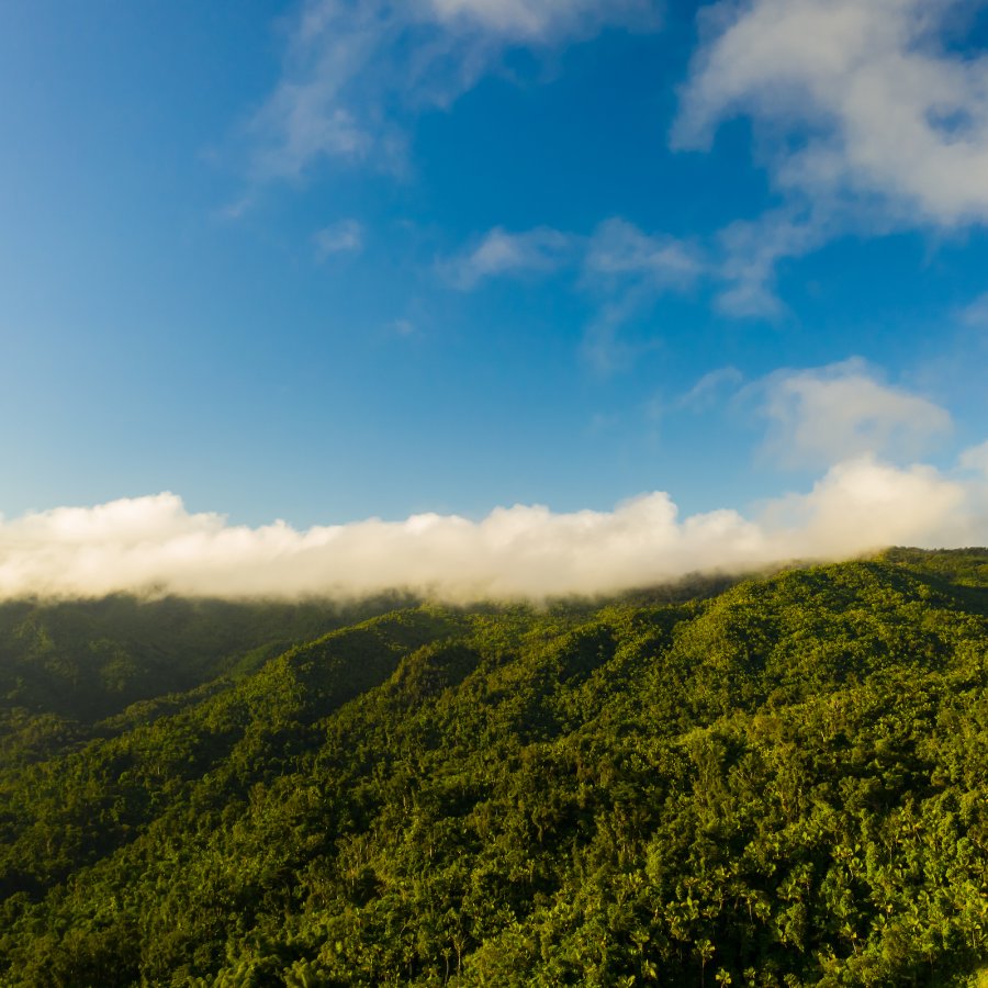 Aerial shot of El Yunque National Forest.